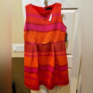 #31 New York & Company